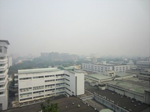 The University campus