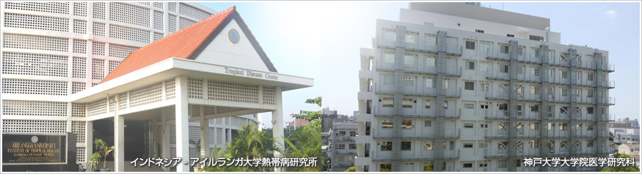 インドネシア - アイルランガ大学熱帯病研究所
神戸大学大学院医学研究科