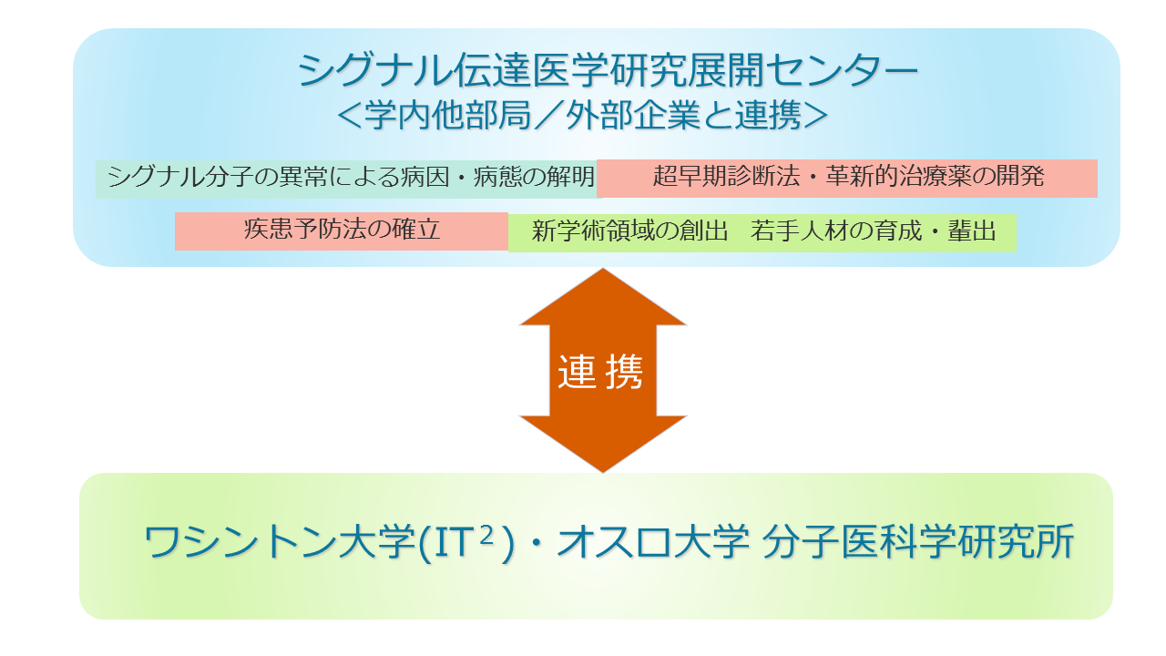 プロジェクト概念図