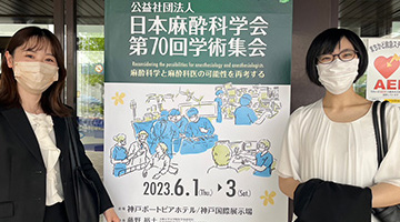 過去の写真