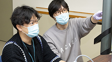 過去の写真