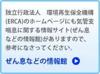 独立行政法人　環境再生保全機構(ERCA)のホームページにも気管支喘息に関する情報サイト(ぜん息などの情報館)がありますので、参考になさってください