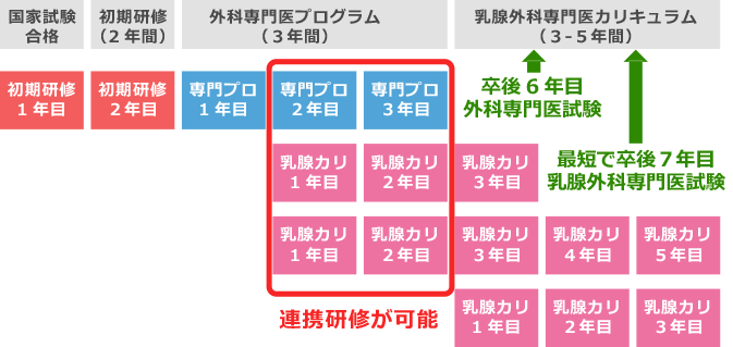 専門研修のフローチャート