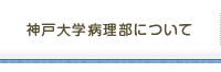 神戸大学病理部について