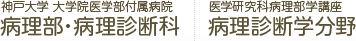 神戸大学 大学院医学部付属病院 病理部・病理診断科｜医学研究科病理部学講座 病理診断学分野