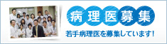 病理医募集 若手病理医を募集しています！