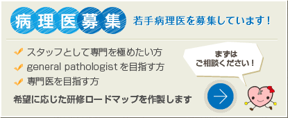 病理医募集　若手病理医を募集しています！スタッフとして専門を極めたい方、general pathologistを目指す方、専門医を目指す方