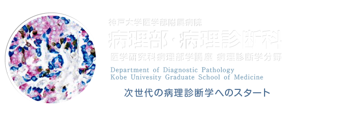 神戸大学 大学院医学部付属病院 病理部・病理診断科