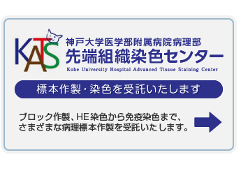 神戸大学医学部附属病院病理部 先端組織染色センター