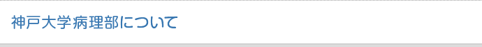 神戸大学病理部について