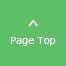 Page Top