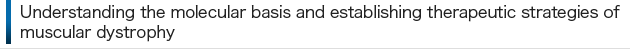 Understanding the molecular basis and establishing therapeutic strategies of muscular dystrophy