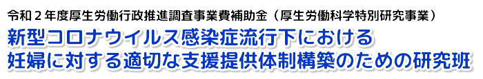 新型コロナウイルス感染症流行下における、妊婦に対する適切な支援提供体制構築のための研究班