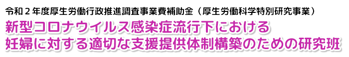 新型コロナウイルス感染症流行下における、妊婦に対する適切な支援提供体制構築のための研究班