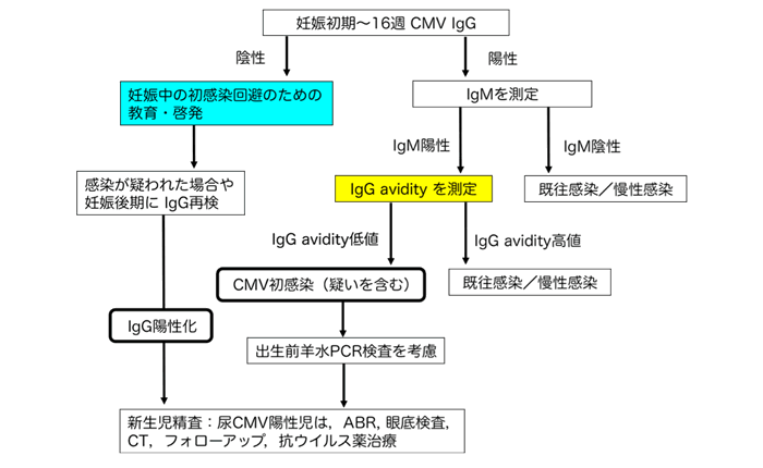 サイト メガロ ウイルス 検査 どこで