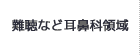 難聴など耳鼻科領域