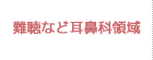 難聴など耳鼻科領域