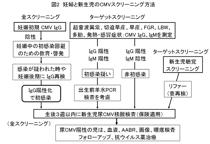 スクリーニング 検査 妊婦