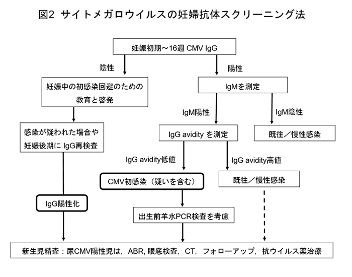 最近の研究成果