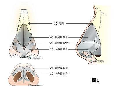 鼻の整形・手術