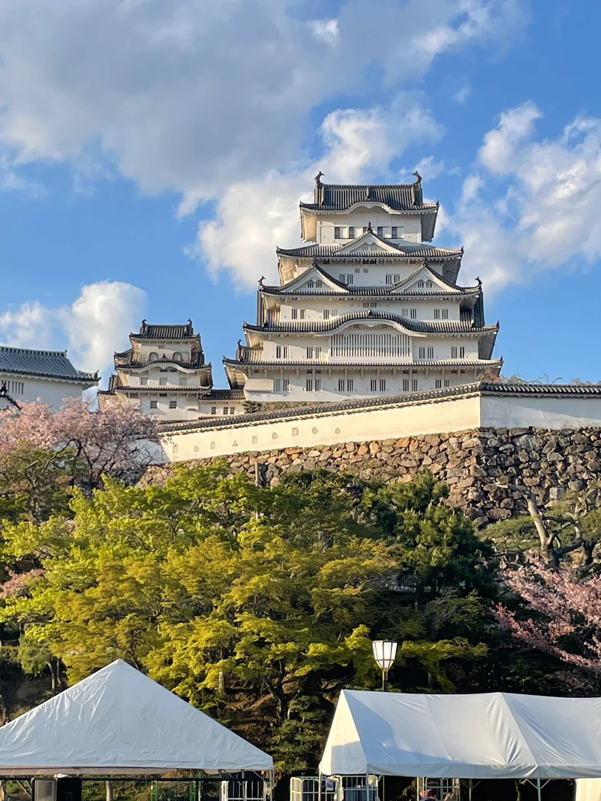 2026年度・臨床研究支援専門職養成講座のお知らせ