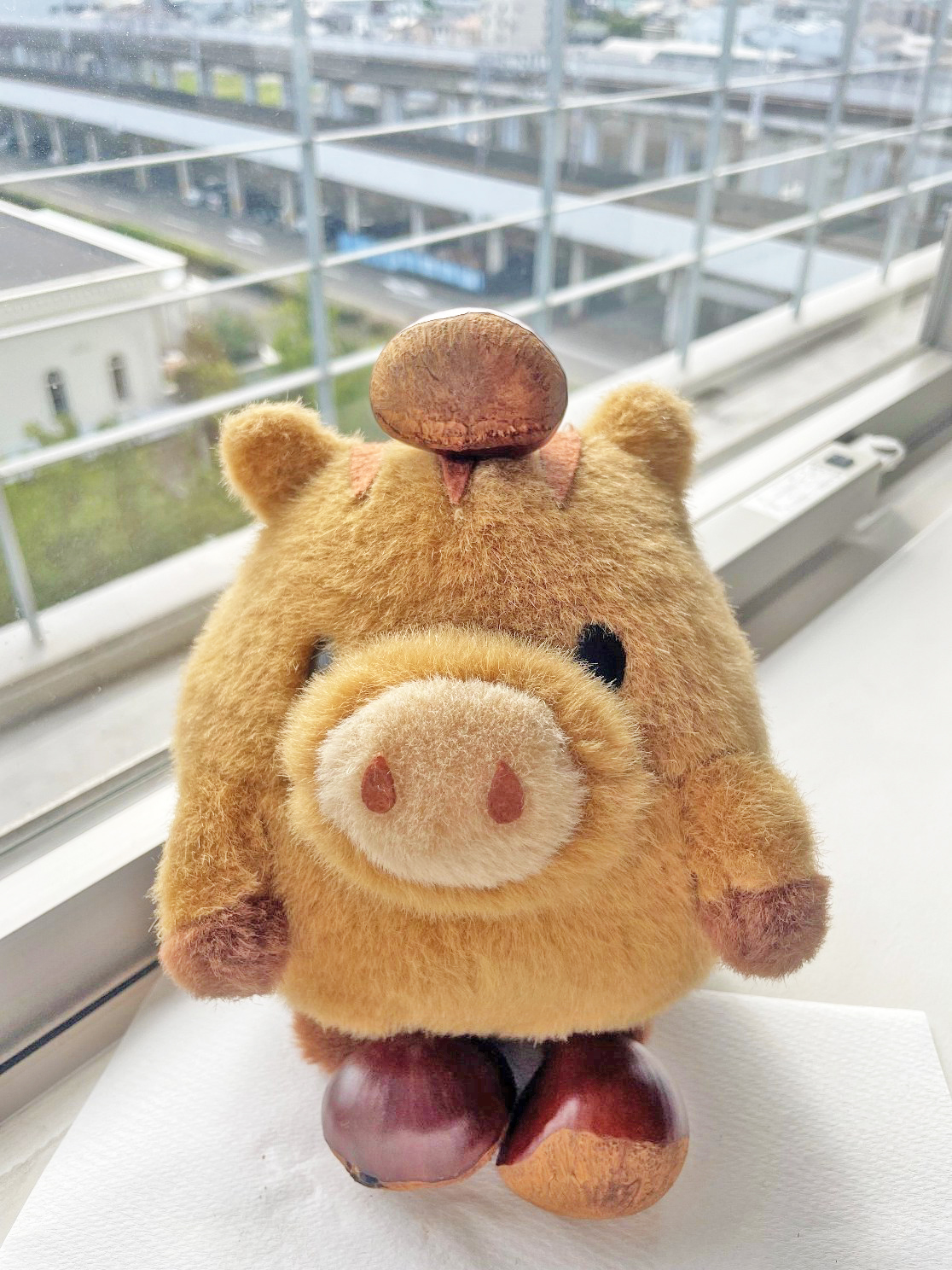 丹波の栗と一緒に秋のお便りを届けるうりぼー