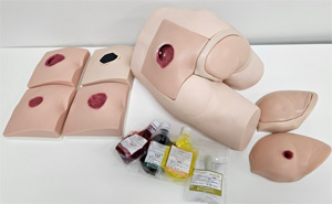 褥瘡シミュレータ