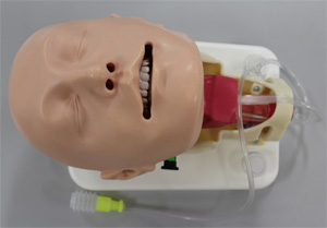 DAMシミュレータデモンストレーションモデル