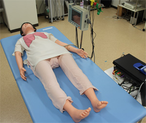 フィジカルアセスメントモデル &ldquo;フィジコ&rdquo;