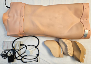 腹部アセスメントモデル