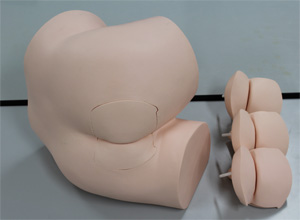 直腸診シミュレータ