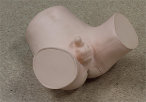 前立腺触診モデル