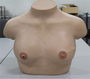 乳癌教育用視触診モデル