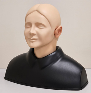 耳の診察シミュレータ &rdquo;EARⅡ&rdquo;