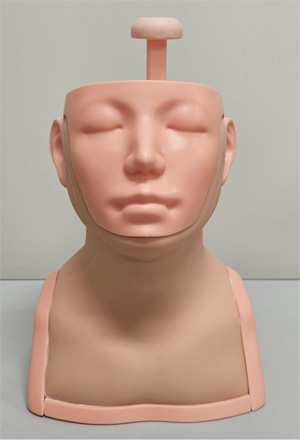 頸部リンパ節・甲状腺触診モデル