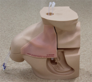 CVC穿刺挿入シミュレータⅡ