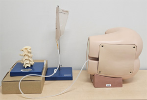 腰椎・硬膜外穿刺シミュレータ