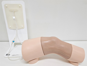 エコーガイド膝関節注射トレーナー