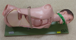 マーゲシミュレータ