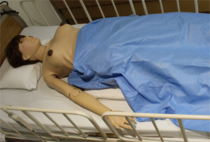 母性総合シミュレータ