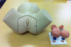 助産演習モデル