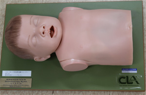 小児気管支鏡トレーナー