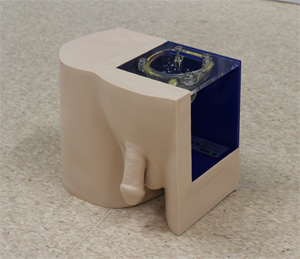 導尿モデルⅠ型 &ldquo;男性&rdquo;