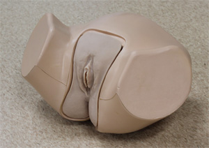 導尿モデルⅢ型 &ldquo;女性&rdquo;