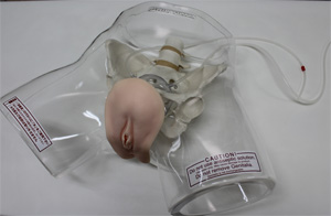 透明女性導尿模型