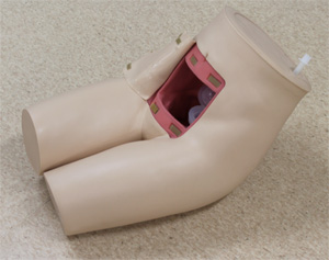 摘便・浣腸モデル