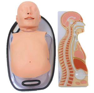 経管栄養シミュレータ