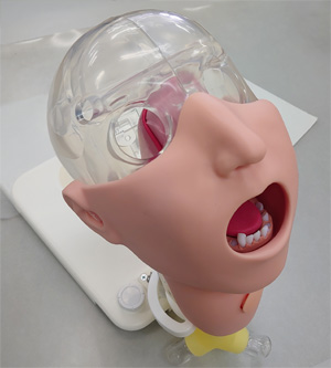 口腔ケアモデルアドバンスド