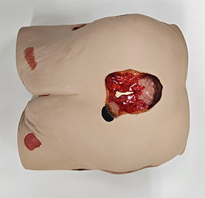 褥瘡ケアシミュレーター