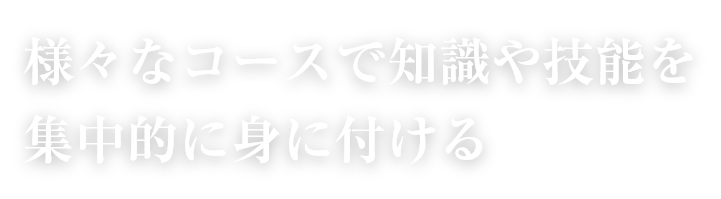 様々なコースで知識や技能を集中的に身に付ける